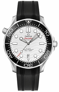 Omega Seamaster Master Chronometer Men's Watch 210.32.42.20.04.001